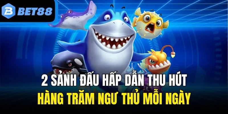 2 sảnh đấu hấp dẫn thu hút hàng trăm ngư thủ mỗi ngày